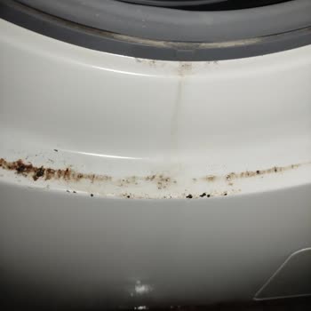 Samsung Eco Bubble Çamaşır Makinesi Sürekli Arıza Çıkarıyor, Hayal Kırıklığı Yaşadım