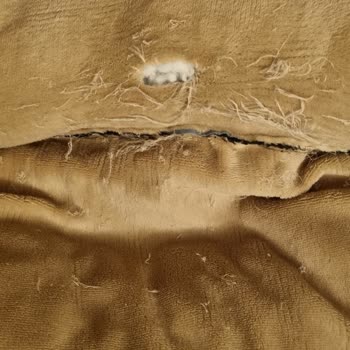 Köpek Yatağı Kısa Sürede Yırtıldı Firma Dönüş Yapmadı