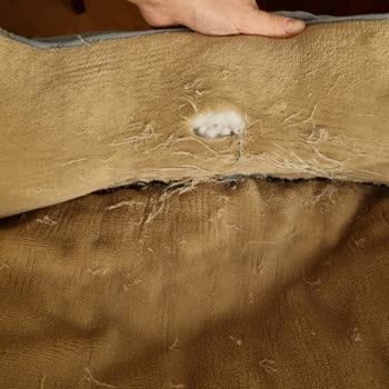 Köpek Yatağı Kısa Sürede Yırtıldı Firma Dönüş Yapmadı