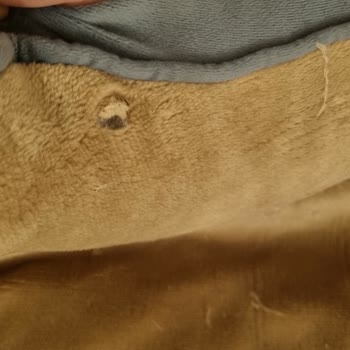 Köpek Yatağı Kısa Sürede Yırtıldı Firma Dönüş Yapmadı