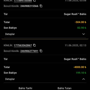 Çekim Talebim Sonrası Bakiyemde İzinsiz İşlem Yapıldı