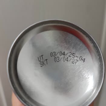 Raid Sinekleri Öldürmek Yerine Sadece Uyutuyor, Gecemiz Kabusa Döndü