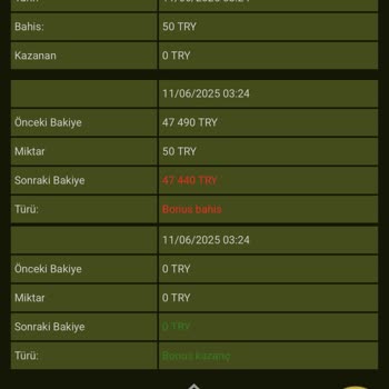 GrandPashaBet Hesabımdaki 40.000 TL Kayboldu, Destek Alamıyorum