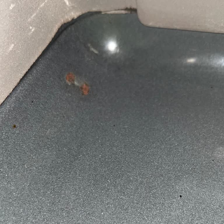 Bosch Fırında Erken Paslanma Ve Servis Desteği Sorunu