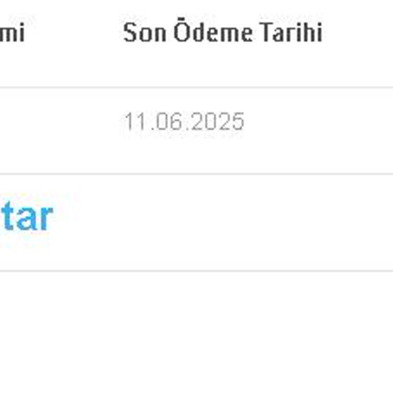 Müşteri Hizmetlerine Ulaşamama Ve İnternet Hızı Sorunu