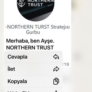 Nortrst Adı Altında Siber Dolandırıcılık