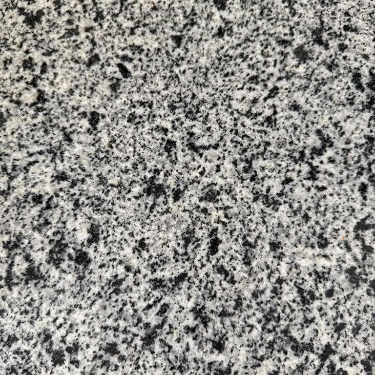 22 Gündür Taşındığım Adreste İnternet Yok Mağduriyetim Çözülmüyor