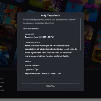 Hesabım Haksız Yere Uzun Süre Banlandı, Adil Denetim İstiyorum