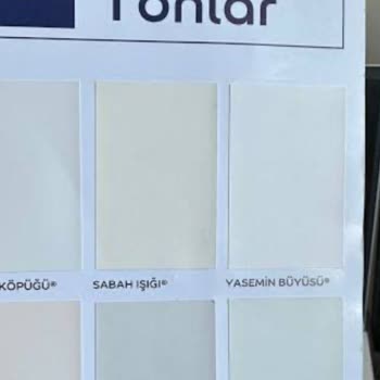 Satın Alınan Boya Rengi Katalog İle Uyuşmuyor, Mağduriyet Giderilmiyor