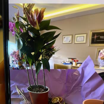 Sipariş Edilen Çiçeğin Solgun Ve Beklenenden Farklı Teslim Edilmesi