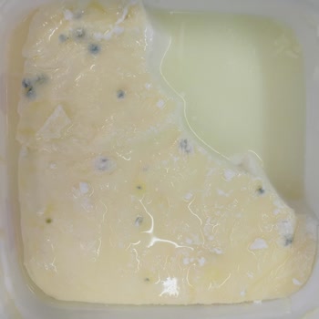 A101'den Aldığım Yoğurt Son Kullanma Tarihi Geçmeden Küflendi, İade Alınmadı