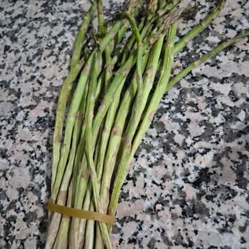 Migros Sanal Market'ten Aldığım Tavuk Bozuk Çıktı, İade Süreci Sorunlu