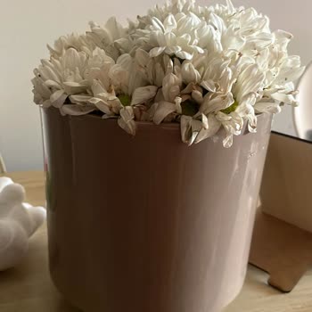 Çiçek Sepeti'nden Aldığım Ürünle Gönderilen Çiçek Arasındaki Fark Ve İletişim Sorunu