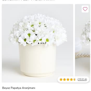 Çiçek Sepeti'nden Aldığım Ürünle Gönderilen Çiçek Arasındaki Fark Ve İletişim Sorunu