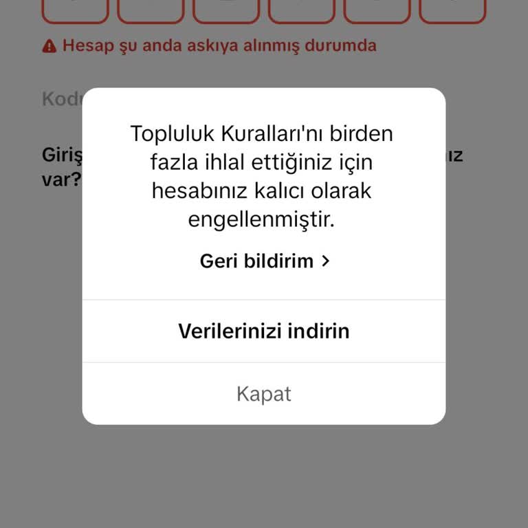 Haksız Topluluk İhlali Nedeniyle TikTok Hesabım Askıya Alındı!