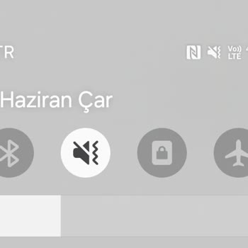 Bilinmeyen Numara Tarafından Şüpheli Arama Ve Ses Kaydı Endişesi