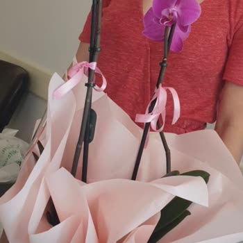 Özel Günde Hayal Kırıklığı: Yanlış Ve Eksik Ürün, İlgisiz Müşteri Hizmetleri