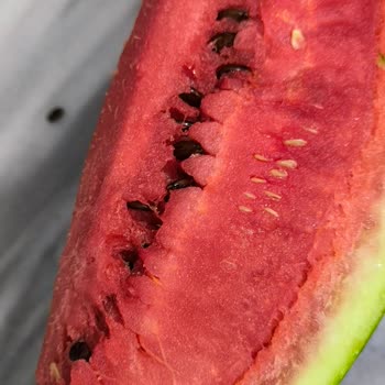 Kim Market'ten Satın Aldığım Karpuz Bozuk Çıktı, Mağduriyet Yaşıyorum