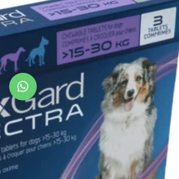 İnternetten Satın Alınan Nexgard Pire Hapının Sahte Ve Güvensiz Çıkması