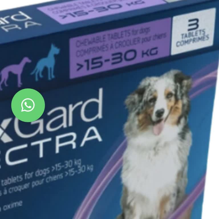 İnternetten Satın Alınan Nexgard Pire Hapının Sahte Ve Güvensiz Çıkması