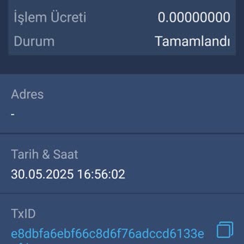 Hesabımdaki Coinler İzinsiz Şekilde Başka Hesaba Aktarılmış