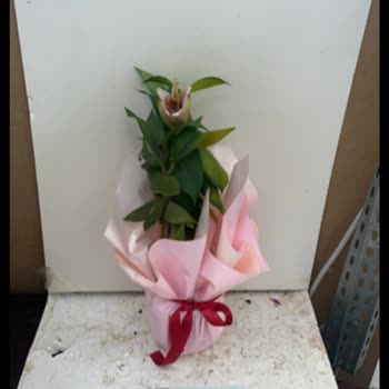 Siparişimde Yanlış Ve Kusurlu Ürün Gönderimi, Destek Alamadım