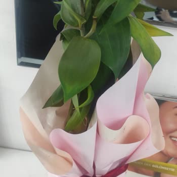 Siparişimde Yanlış Ve Kusurlu Ürün Gönderimi, Destek Alamadım