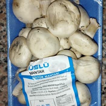 Tarihi Geçmiş Ve Küflü Mantar Gönderimiyle Hayal Kırıklığı