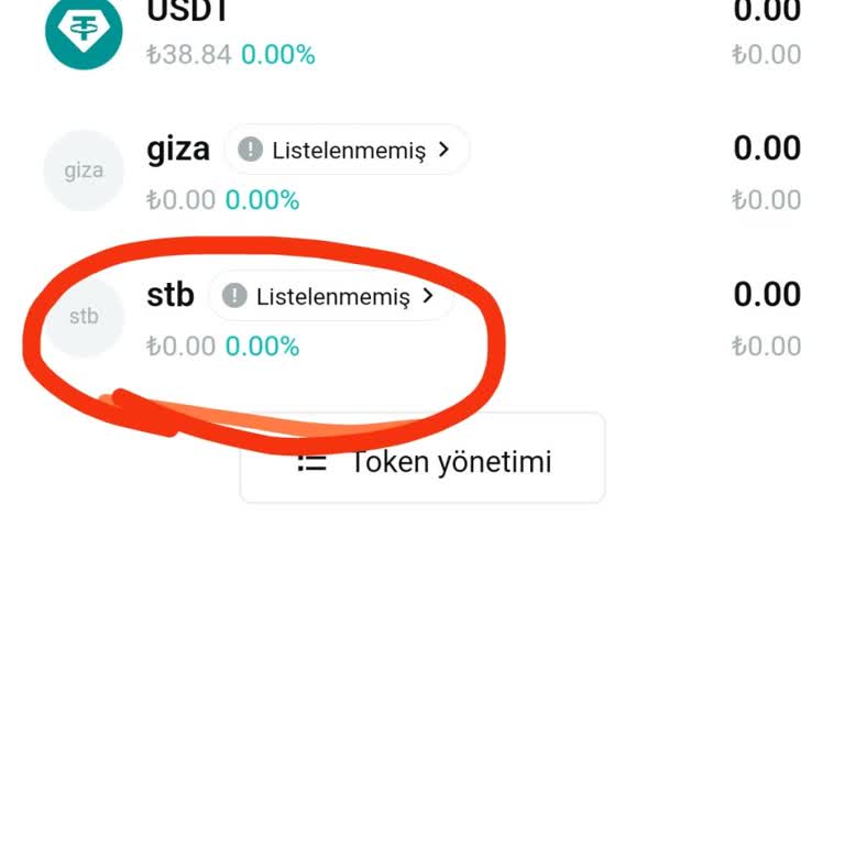 I Got Scammed Through a Fake Token on BitgetWallet