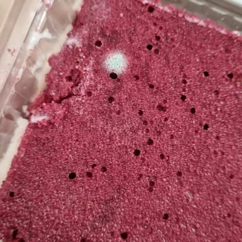 BİM'den Aldığım Kadife Tatlılarının Küflü Çıkması Ve İlgisizlik