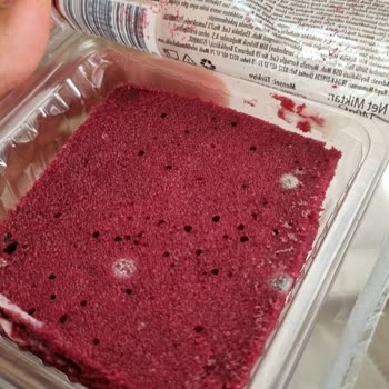 BİM'den Aldığım Kadife Tatlılarının Küflü Çıkması Ve İlgisizlik