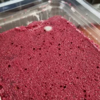 BİM'den Aldığım Kadife Tatlılarının Küflü Çıkması Ve İlgisizlik