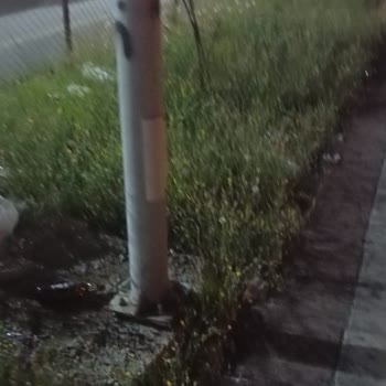 Malatya'da Çöp Sorununda Kurumlar Arası Sorumluluk Karmaşası