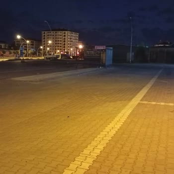 Malatya'da Çöp Sorununda Kurumlar Arası Sorumluluk Karmaşası