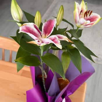 Yıldönümü İçin Sipariş Edilen Lilyumlar Solmuş Ve Çürük Çıktı, İade Talep Ediyorum