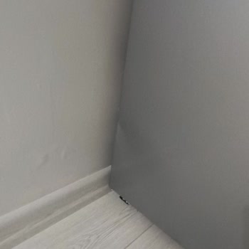Hasarlı Derin Dondurucu İçin İade Sürecinde Yaşanan Aksaklıklar