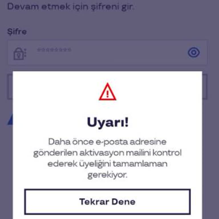 Şifre Sıfırlama Ve Güvenlik Sorusu Engeliyle Uygulamaya Erişemiyorum