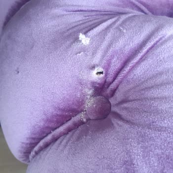 Satın Aldığım Salon Takımı Tahta Kurdu Oldu, Firma Tadilat Yapmıyor