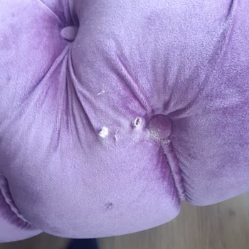 Satın Aldığım Salon Takımı Tahta Kurdu Oldu, Firma Tadilat Yapmıyor