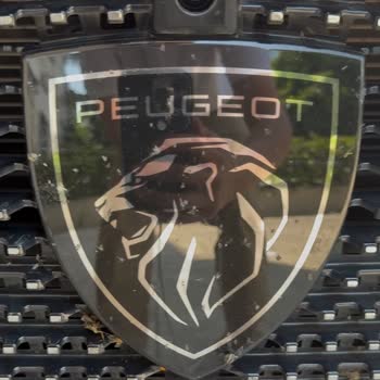 Peugeot 308 Ön Kamera Sorunu Ve Yetersiz Servis İlgisi