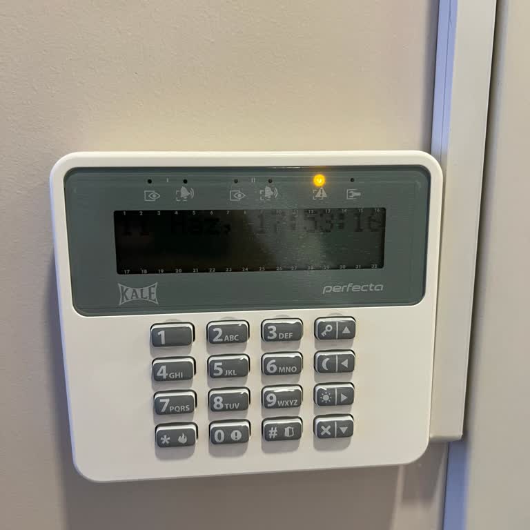 Kiralık Alarm Sistemi İçin Yüksek Batarya Yenileme Ücreti Talebi