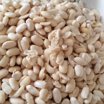 Fasulye Fiyaskosu: Kalitesiz Ürün Mağduriyeti