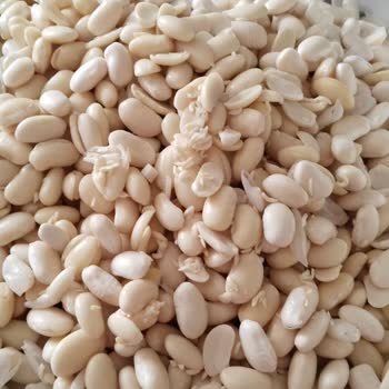 Fasulye Fiyaskosu: Kalitesiz Ürün Mağduriyeti