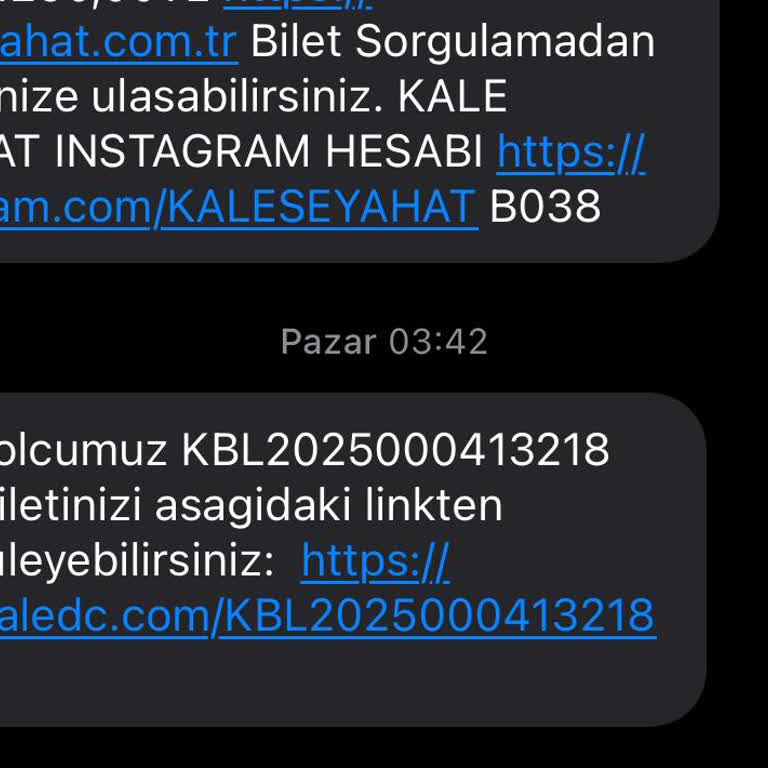 Bayram Yoğunluğunda Kale Seyahat İle Yaşanan Olumsuz Deneyim Ve Disiplinsizlik
