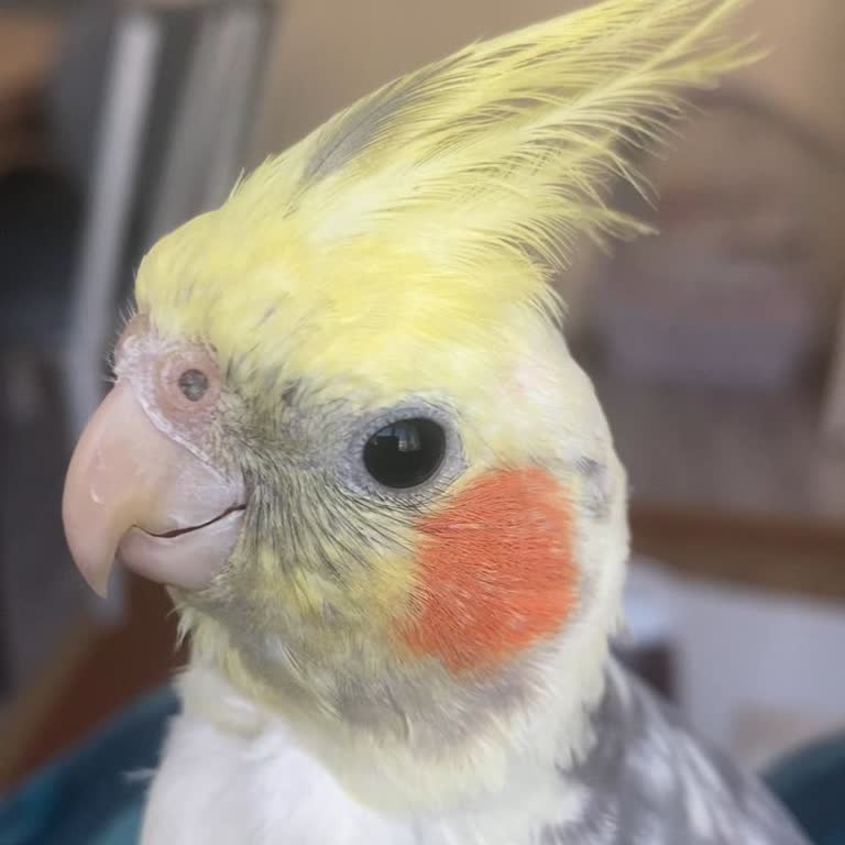 Onaylanan İlanlar Neden Yayınlanmıyor