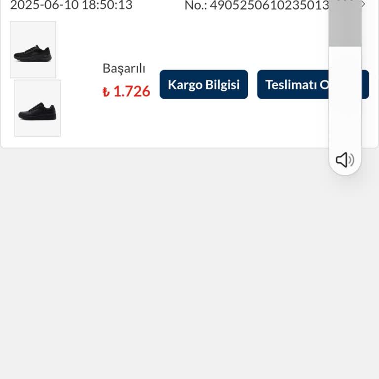 Sahte Web Sitesi Aldatmacası