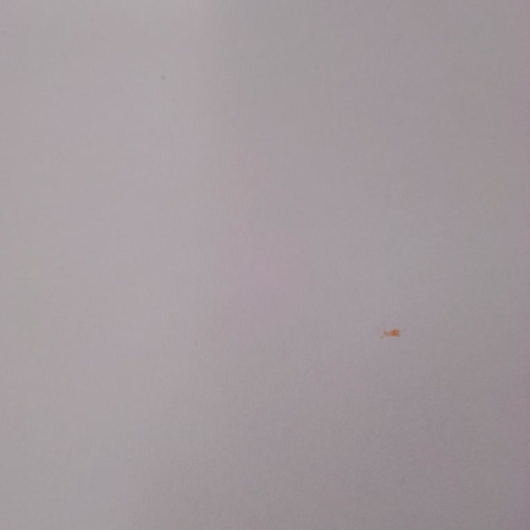 Reeder Telefonumda Yaşadığım Garanti ve Değişim Sorunları