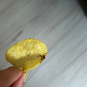 Cipsin Üzerinde Yabancı Cisim Çıkması Ve Sağlık Endişesi