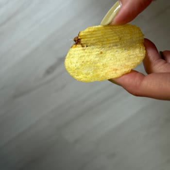 Cipsin Üzerinde Yabancı Cisim Çıkması Ve Sağlık Endişesi