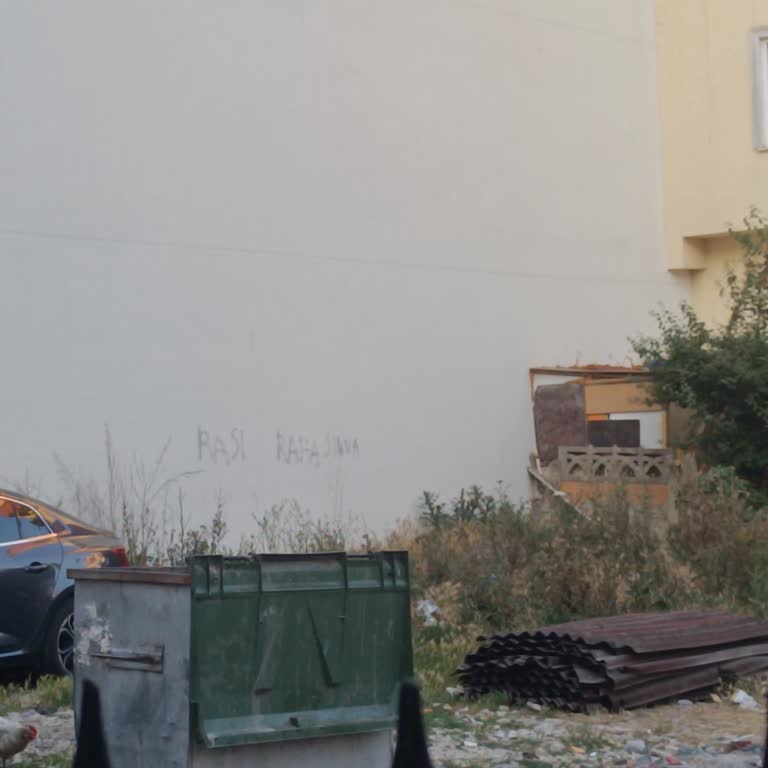 Tekirdağ Kapaklı Belediyesi Çöp Konteynerindeki Atıklar Toplanmıyor Mahallede Kirlilik Artıyor